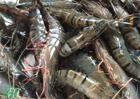 竹节虾是海里的吗？竹节虾是海虾还是河虾