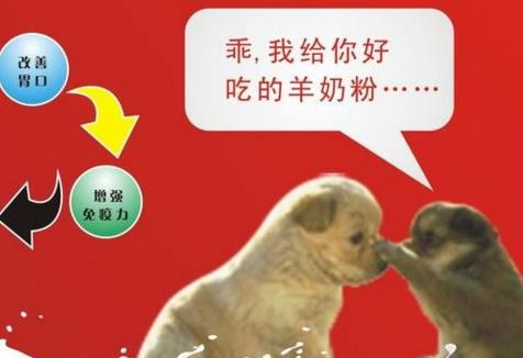 羊奶粉上火吗 羊奶怎么喝才不上火 羊奶粉上火吗 羊奶怎么喝才不上火