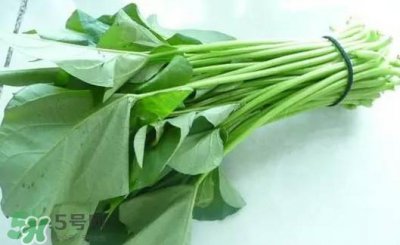 ​苕尖怎么炒？苕尖的做法