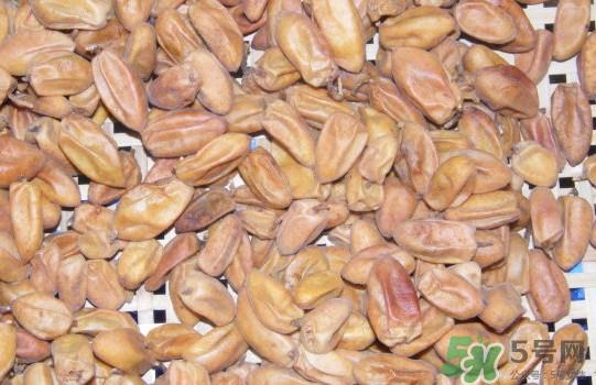 黄皮果核可以种吗？黄皮果核可以吃吗