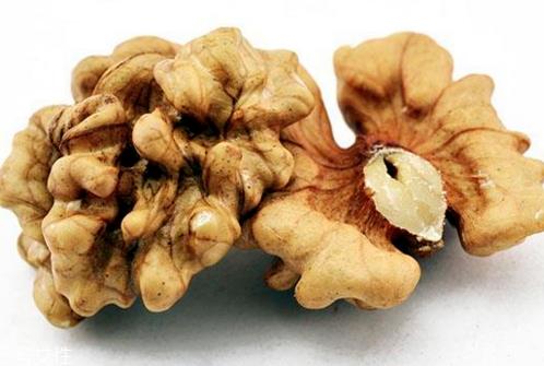 核桃仁能放多久 保质期为6个月 核桃仁能放多久 保质期为6个月