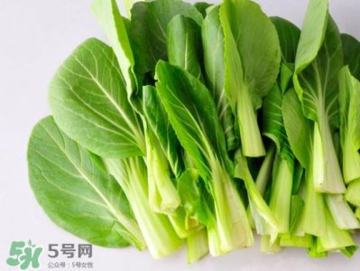 ​鸡毛菜有什么营养价值？鸡毛菜的功效与作用