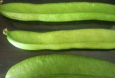 ​刀豆是发物吗？刀豆是不是发物