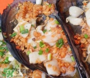 ​带子是什么海鲜？带子是什么东西