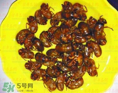 ​知了猴能淹死吗？知了猴哪个部位不能吃？