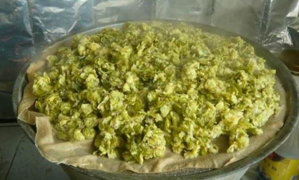 榆钱怎么蒸？蒸榆钱的做法
