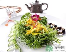 苦菊的营养价值 苦菊的功效与作用