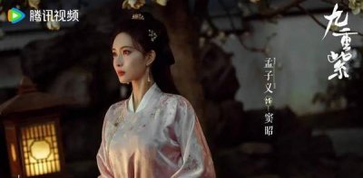 ​九重紫电视剧小说叫什么？九重紫小说节选章节免费看