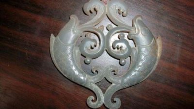 ​瓶子草属植物均具有美丽的花朵