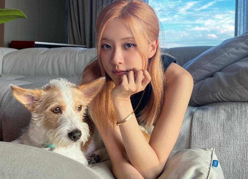 离异女人征婚内心独白怎么写 离异女人征婚内心独白怎么写