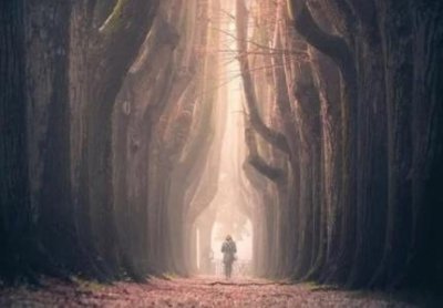 ​世界上珍珠 世界上珍珠最多的地方