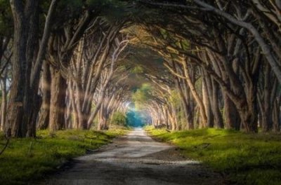 ​超自然事件真相 灵异的安娜贝尔娃娃