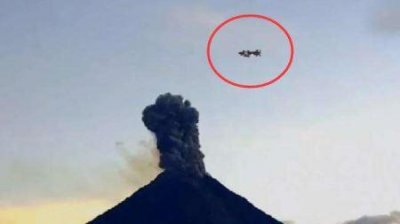 ​牛年说牛！世界最大的牛有多大？体重可达一吨半，老虎见了都打怵