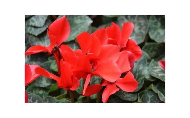 总觉得老公出轨了怎么办,怎么查老公有外遇 总觉得老公出轨了怎么办,怎么查老公有外遇