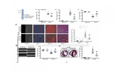 ​酒后和别的男人发生关系了怎么办