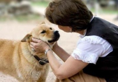 ​幼犬呕吐拉稀吃什么药？幼犬呕吐拉稀吃什么药？最好