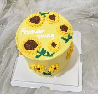 ​10000款网红蛋糕图集5
