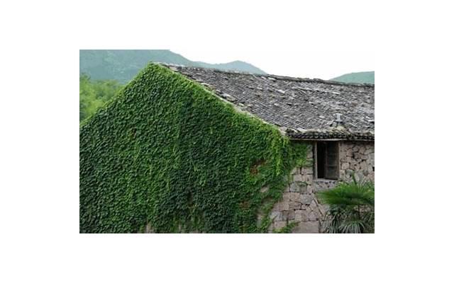 女人有多爱你,卧榻上见答案 女人有多爱你,卧榻上见答案