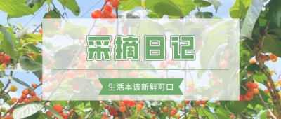 ​樱桃要上市啦！武汉这8个采摘园，让你大饱口福