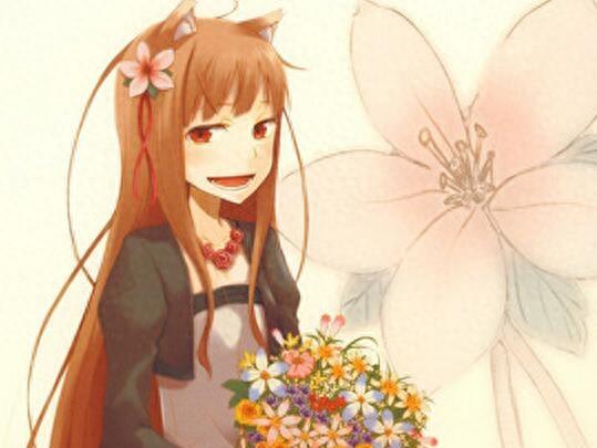 《狼与香辛料》贤狼赫萝