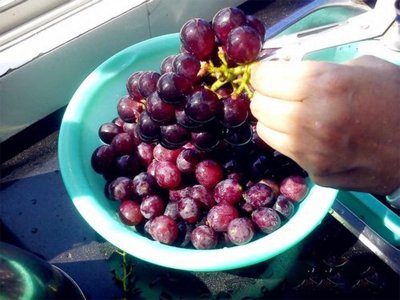 ​这样自制葡萄罐头简单易学~很好吃哦~
