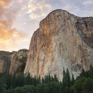 ​你知道世界上徒手攀岩最厉害的人是谁吗？