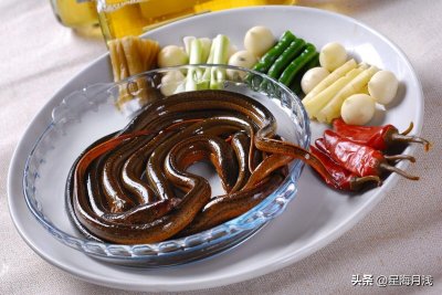 ​黄鳝是雌雄同体的生物？
