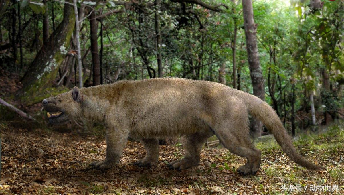 巨型肉食性动物-裂肉兽