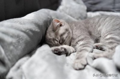 ​中国睡眠报告：最好的养生是睡眠，3亿人已经失去了它