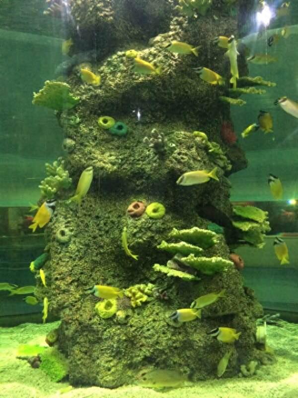 保定这个最大的生态园是居然是免费开放的，还有海洋馆和水上乐园，夏天去消暑棒极了！