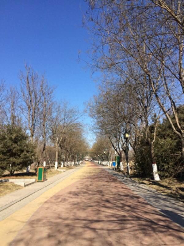 保定这个最大的生态园是居然是免费开放的，还有海洋馆和水上乐园，夏天去消暑棒极了！