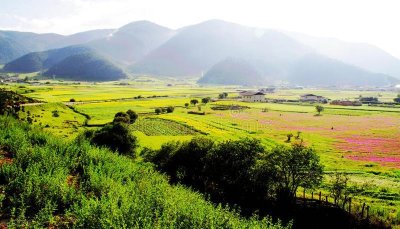 ​你读懂“桃花源记”了么？揭秘背后的真相
