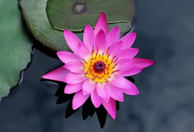 ​静下来，一切都会好：别让浮躁情绪侵袭你的宁静