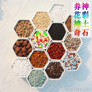 ​绿沸石、麦饭石、火山岩才是多肉最好的铺面石，千万别再买错了！