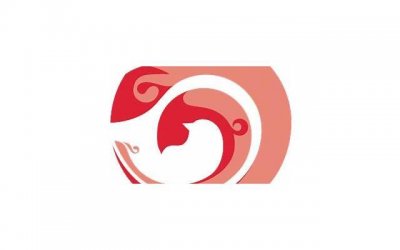 ​婚姻怎么去经营才幸福，如何经营婚姻，让幸福长久？