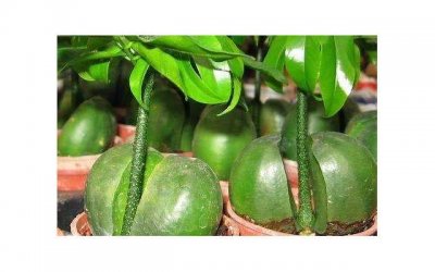 ​情侣约会必须干的事，第一次约会男生最加分的三个行为