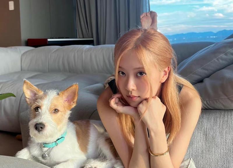 如何重新与离婚的伴侣和解，重建婚姻关系？