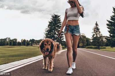​错误的谜语：步步踏实（打成语一） 原解释出错