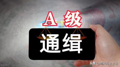 ​解读公安部A级通缉令.“白宝山，张君，杨新海等”曾上榜