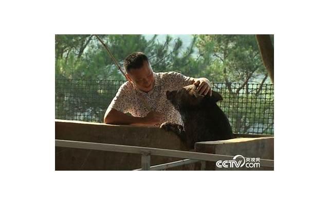 为什么相爱的人却不能够在一起，为什么相爱的人却要分开