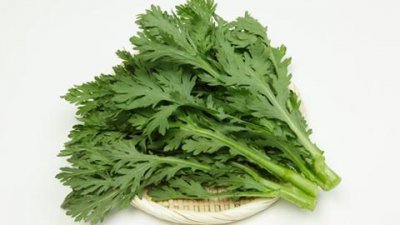 ​蓬蒿菜是什么菜