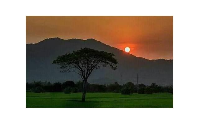 满足三条必离婚,耗着不离婚的结果