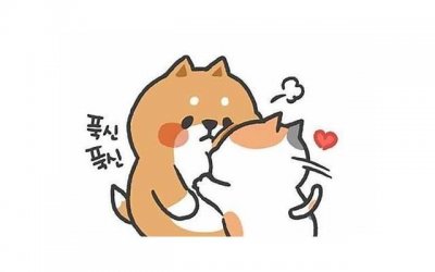 ​婚姻挽回咨询机构有用吗 情感挽回机构真的能挽回感情吗