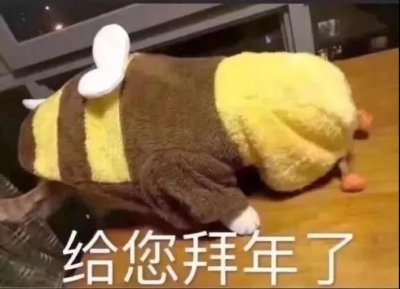 ​日常聊天表情包 - 回家被催婚系列！快快收藏过年用吧