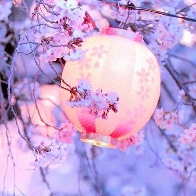 中年妈妈用的微信头像风景