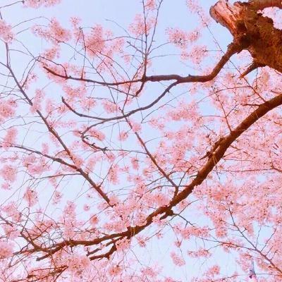 中年妈妈用的微信头像风景