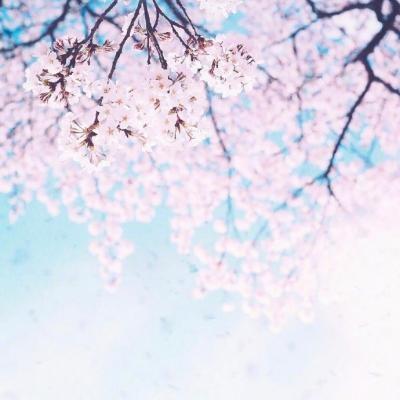 中年妈妈用的微信头像风景