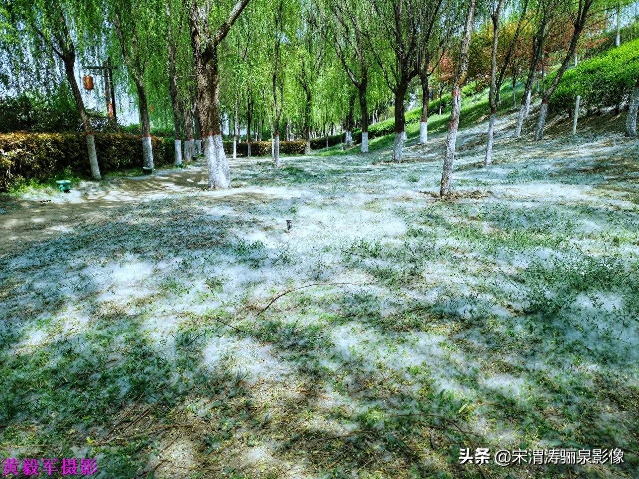 汉城湖公园位于陕西省西安市未央区，原为团结水库（古漕运明渠