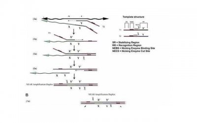​男朋友总是喜欢和异性朋友聊天，有问题吗