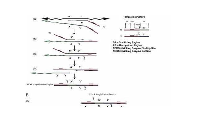 男朋友总是喜欢和异性朋友聊天,有问题吗 男朋友总是喜欢和异性朋友聊天,有问题吗